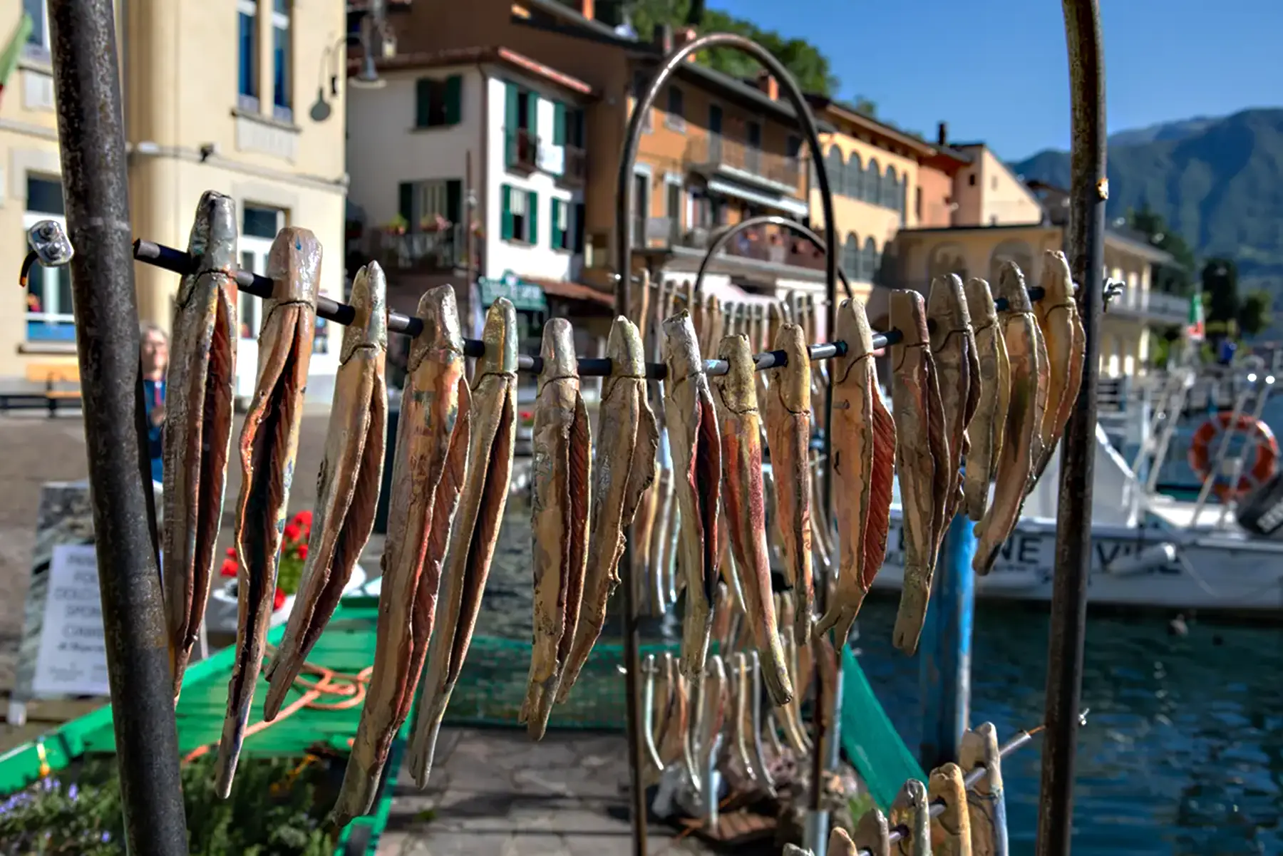 Sardine Monte Iseola